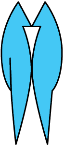 van Wonderen Training en Coaching